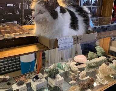 MoonStones... A Metaphysical Haven