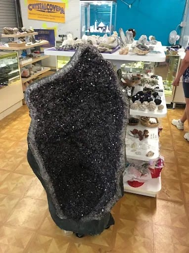 Crystal Cove Collective