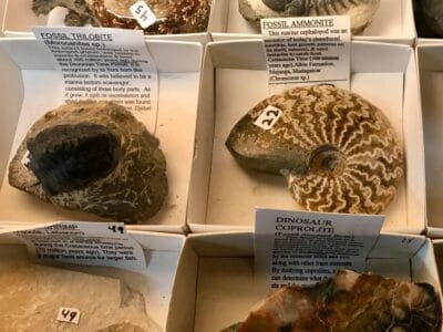 Manning's Rock Shop