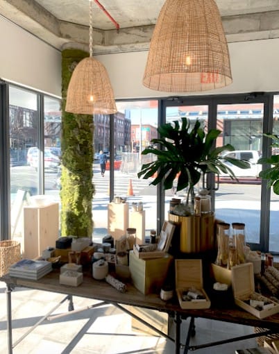The Holistic Home Company
