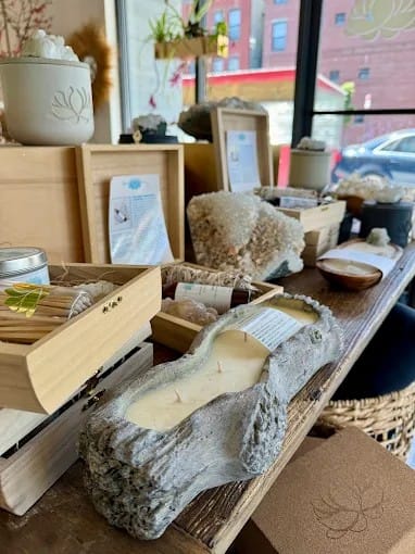 The Holistic Home Company