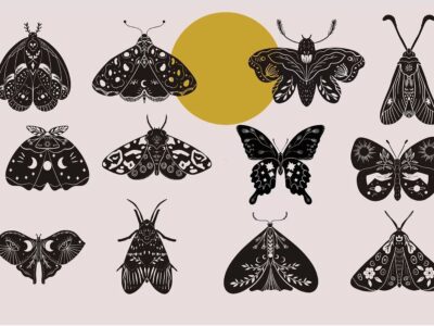Mystic Moth Studio