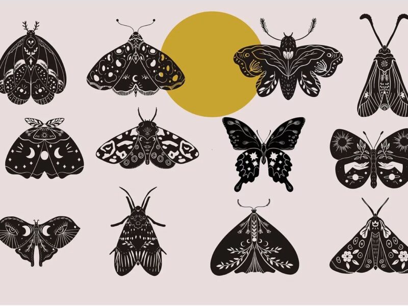 Mystic Moth Studio