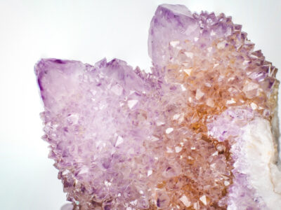 Coyote Moon Crystals & Gifts